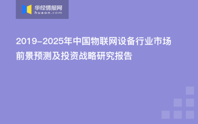 2019-2025年中国物联网设备行业市场前景预测及投资战略研究报告
